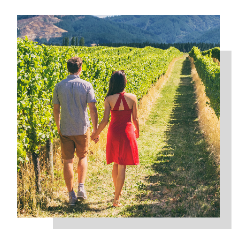 Gastronomy and Wine