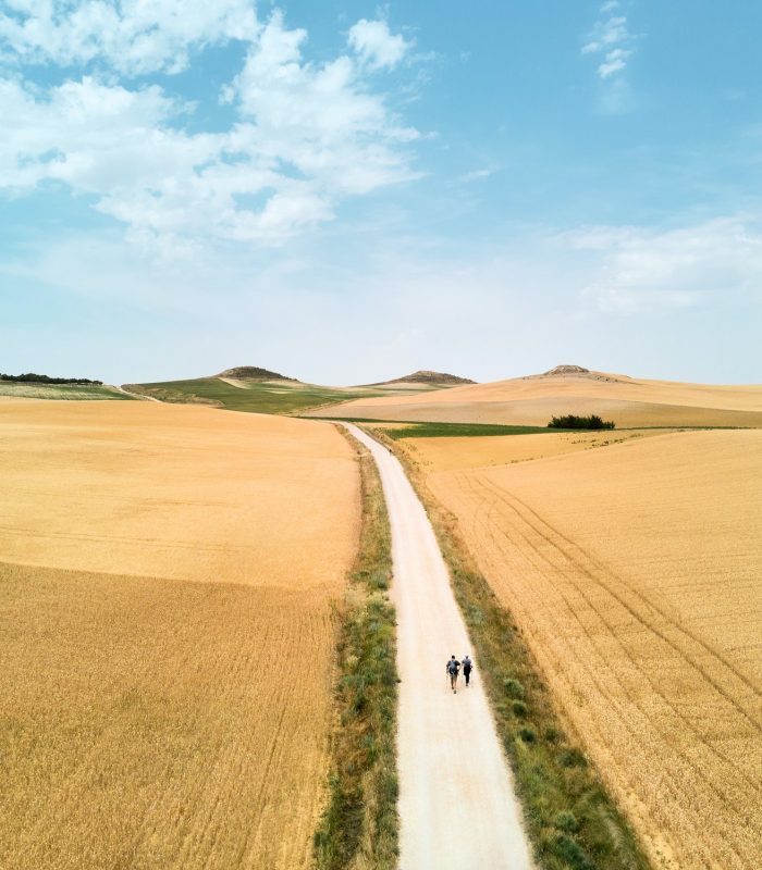 Pilgrims doing the Santiago Walk