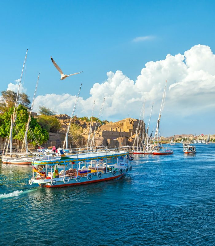 Touristic boats on Nile
